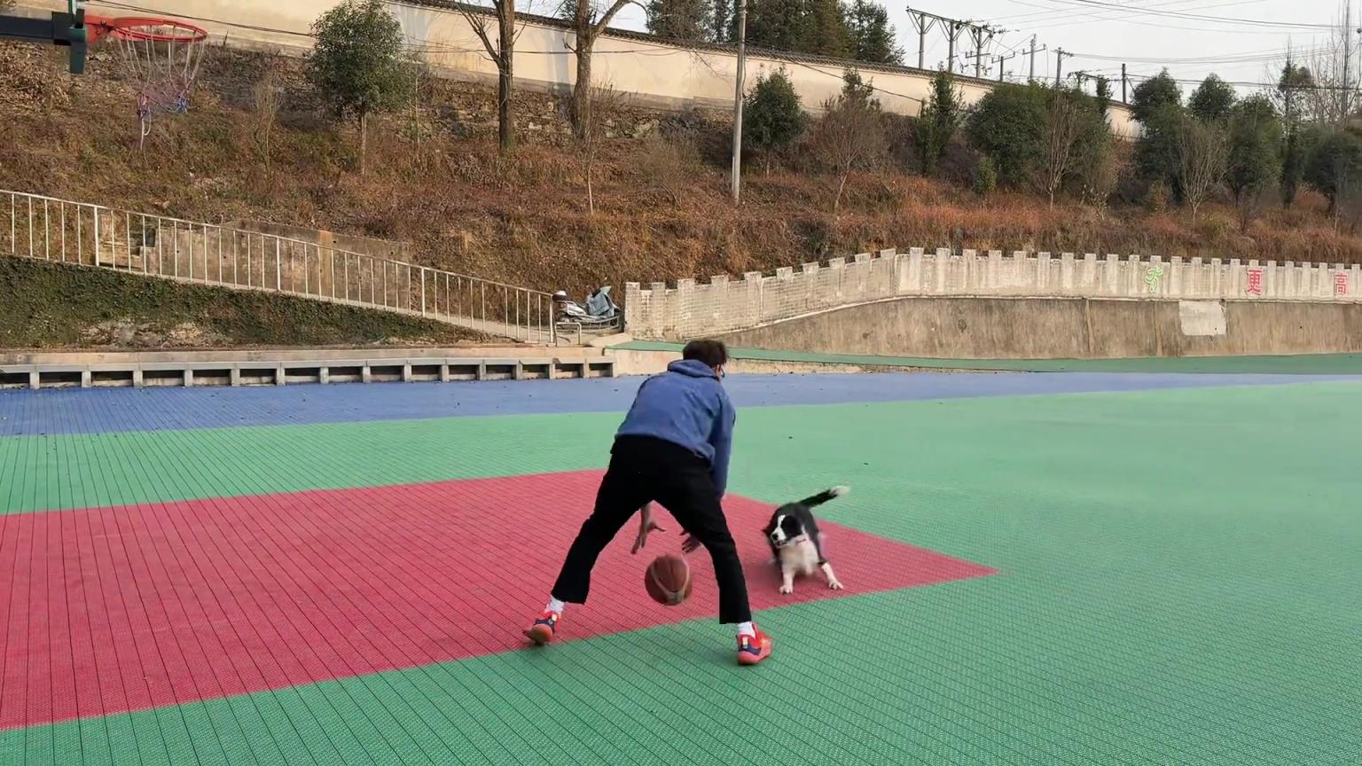 全場緊逼原來是這么練的